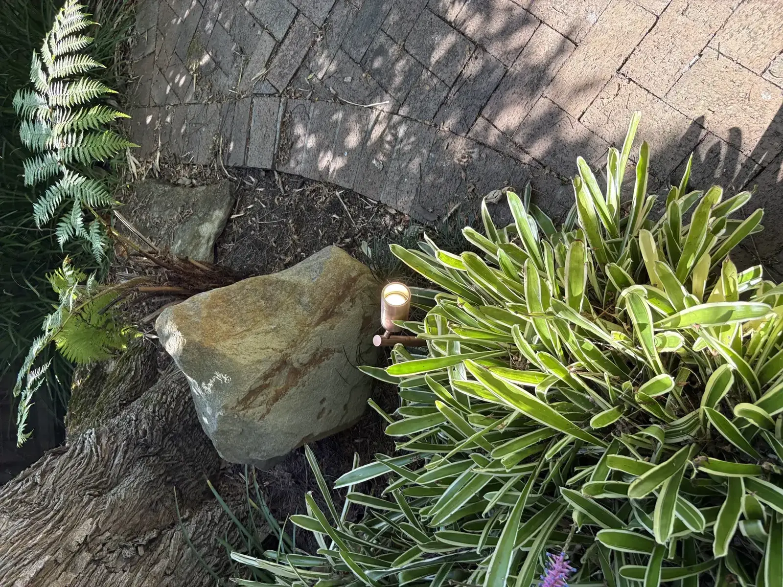 Garden spike light operating beside landscaping in Gladesville
